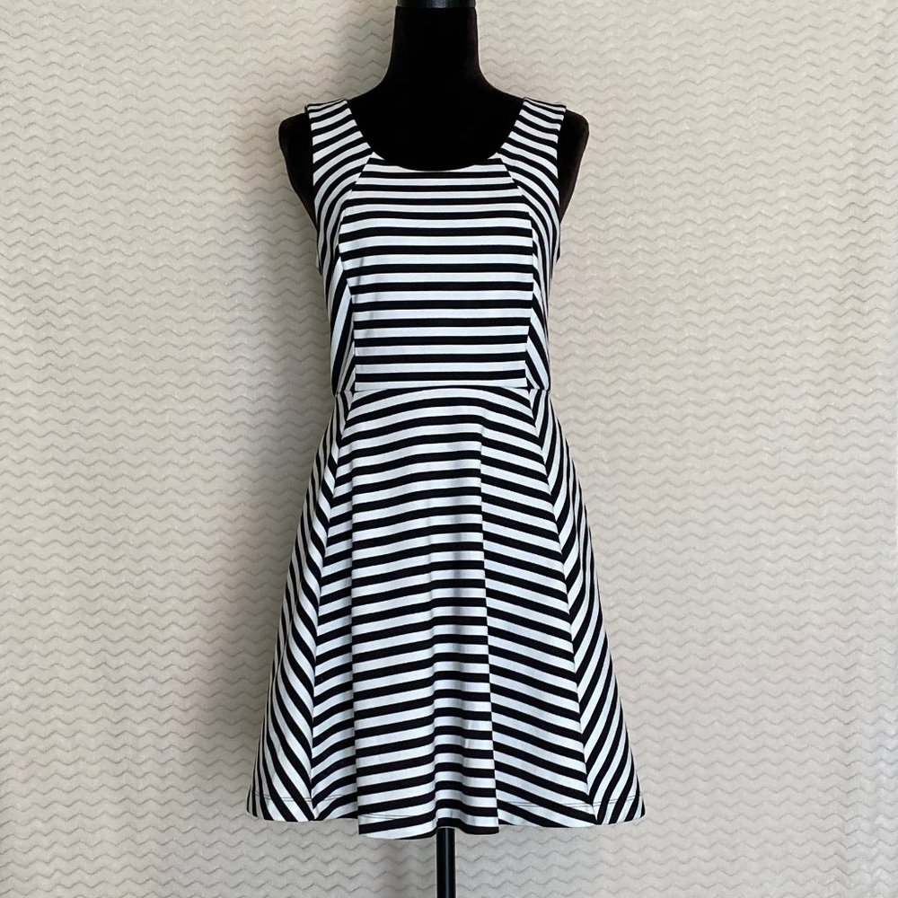 EUC Express Black & White Striped Skater Dress